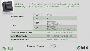 DS Series Momentary